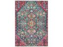 Chantille Oriental Area Rug