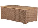 Boca Coffee Table with Storage in Honey Wicker and Teak