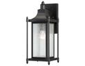 Dunnmore 1-Light Outdoor Wall Lantern in Black