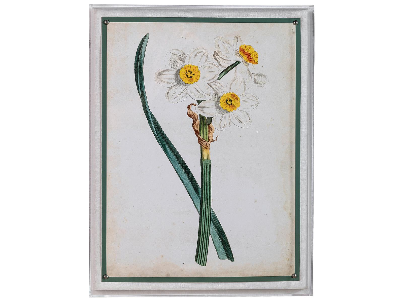 Port 68 Narcissus Iii