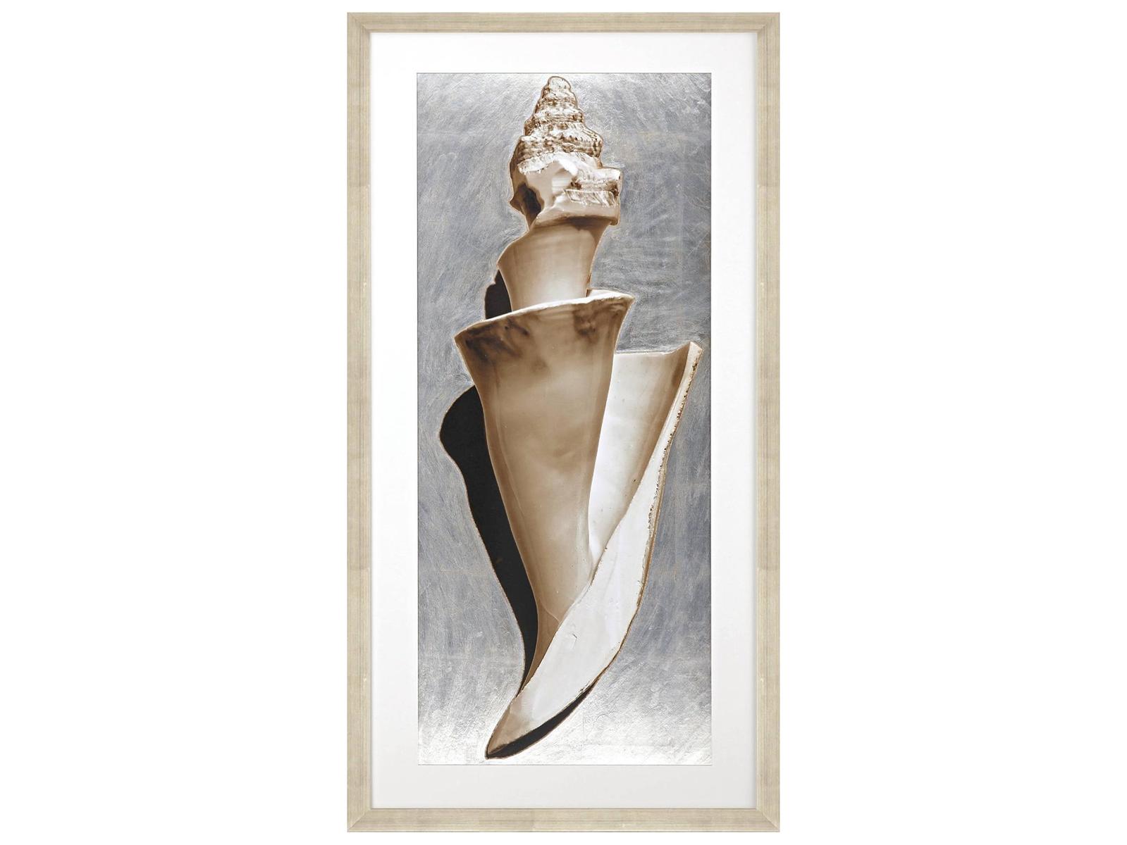 Paragon Modern Shell II Framed Art