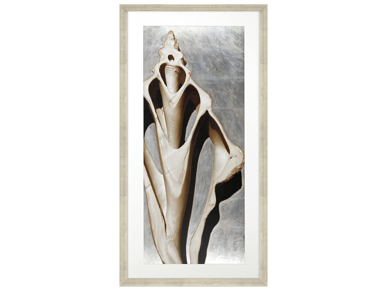 Paragon Modern Shell III Framed Art