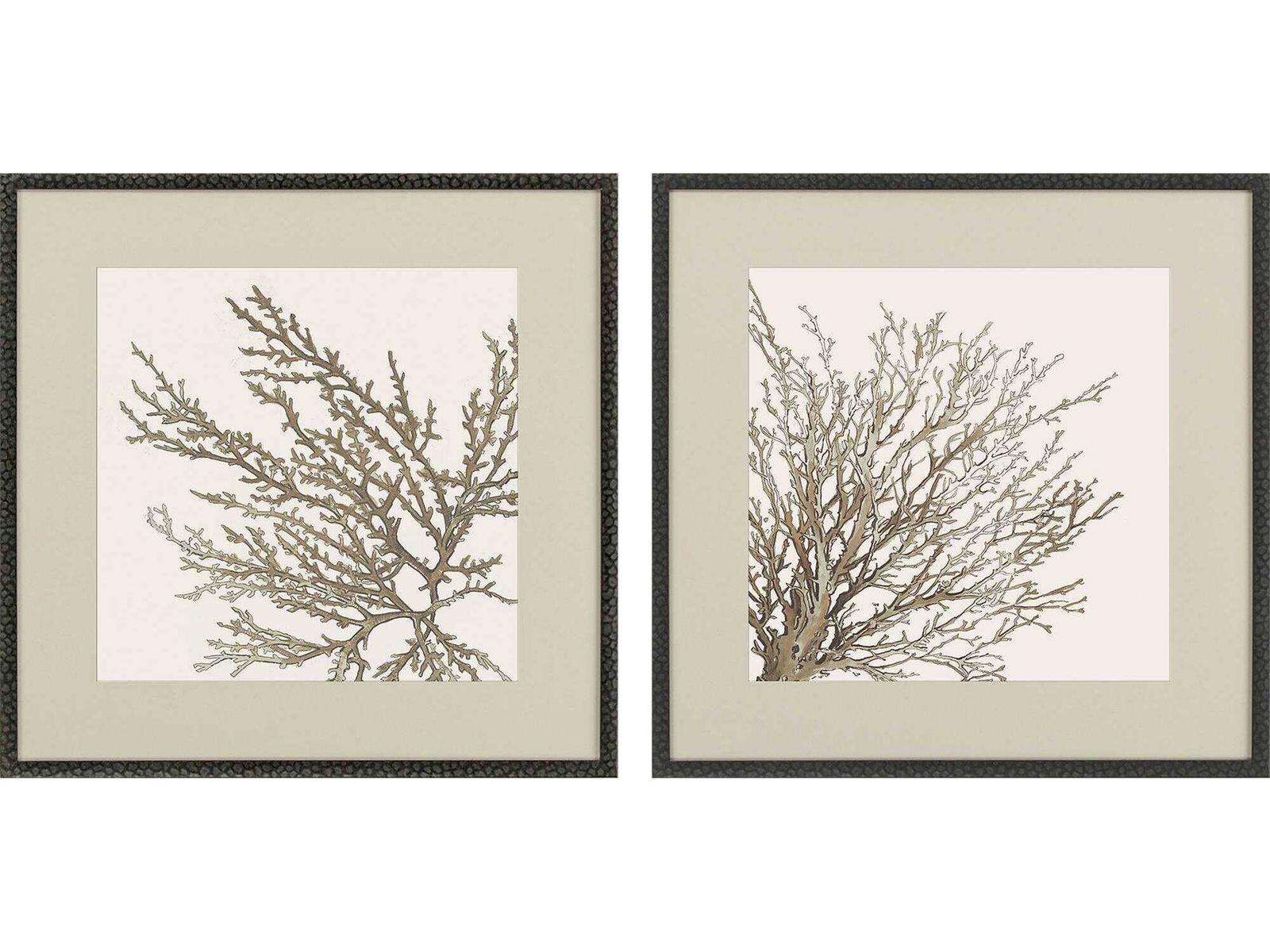 Paragon Naturals Taupe Coral Wall Art Set of 2
