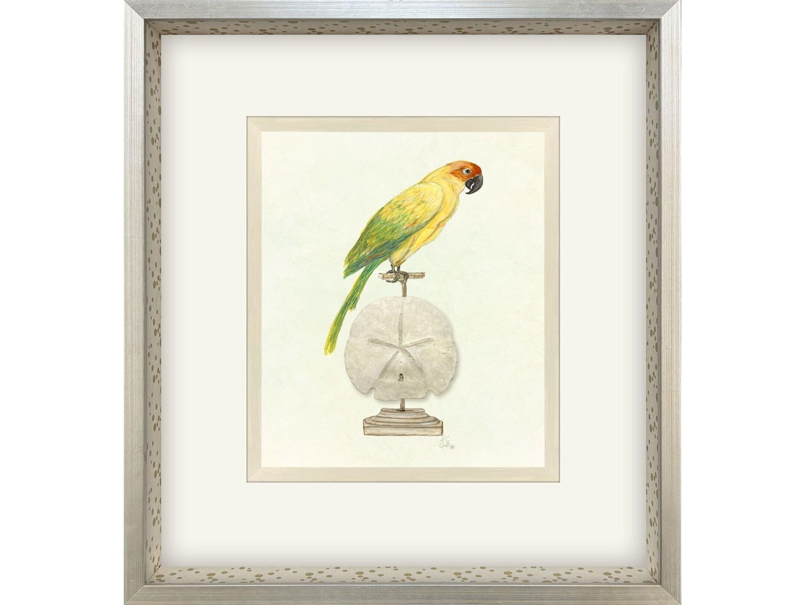 Paragon Treasure Parrot III Framed Art