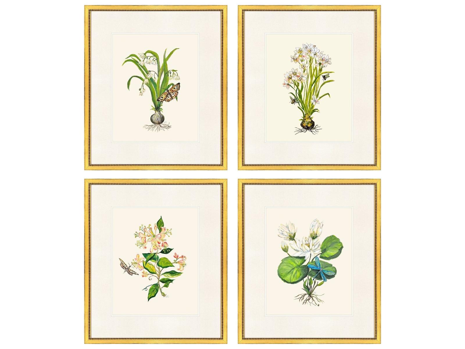 Paragon Delicate Medley I Painting Set of 4