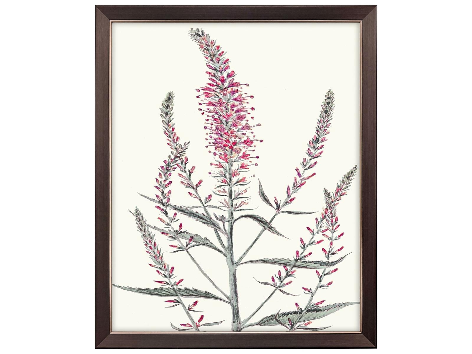 Paragon Pink Veronique I Canvas Wall Art