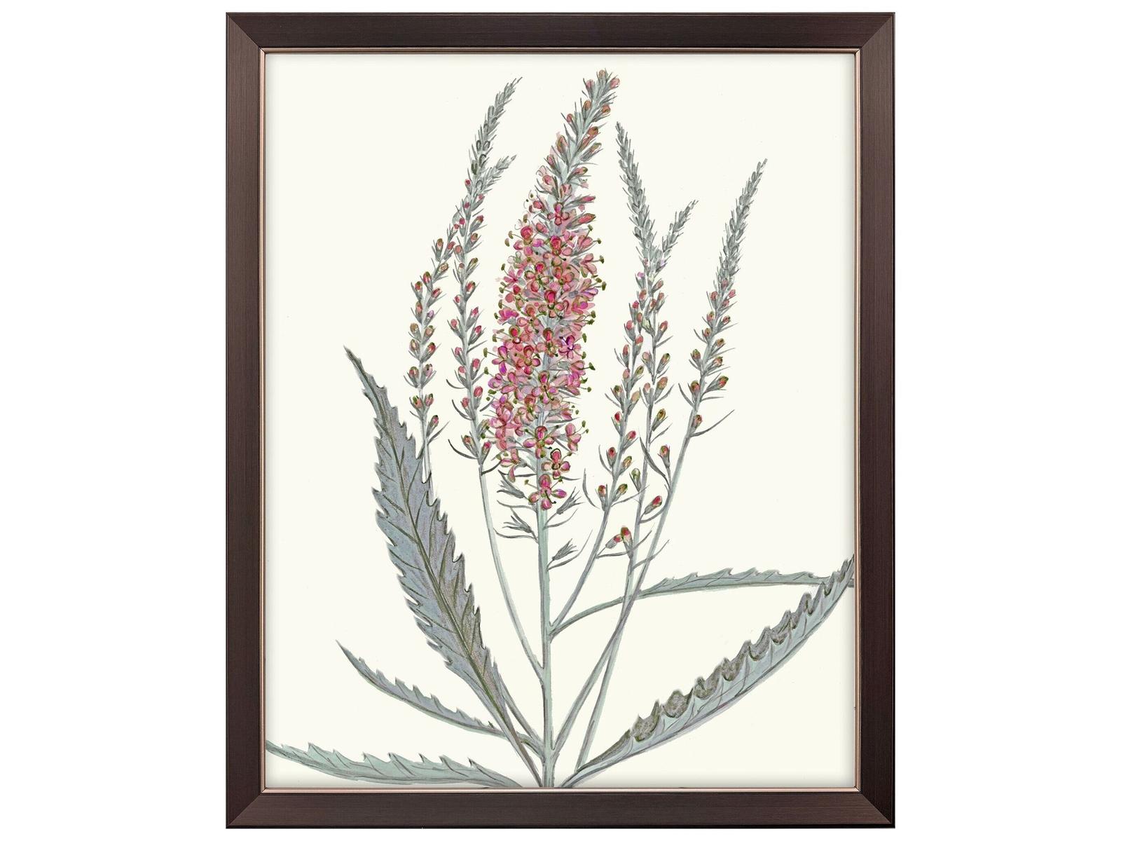 Paragon Pink Veronique II Canvas Wall Art