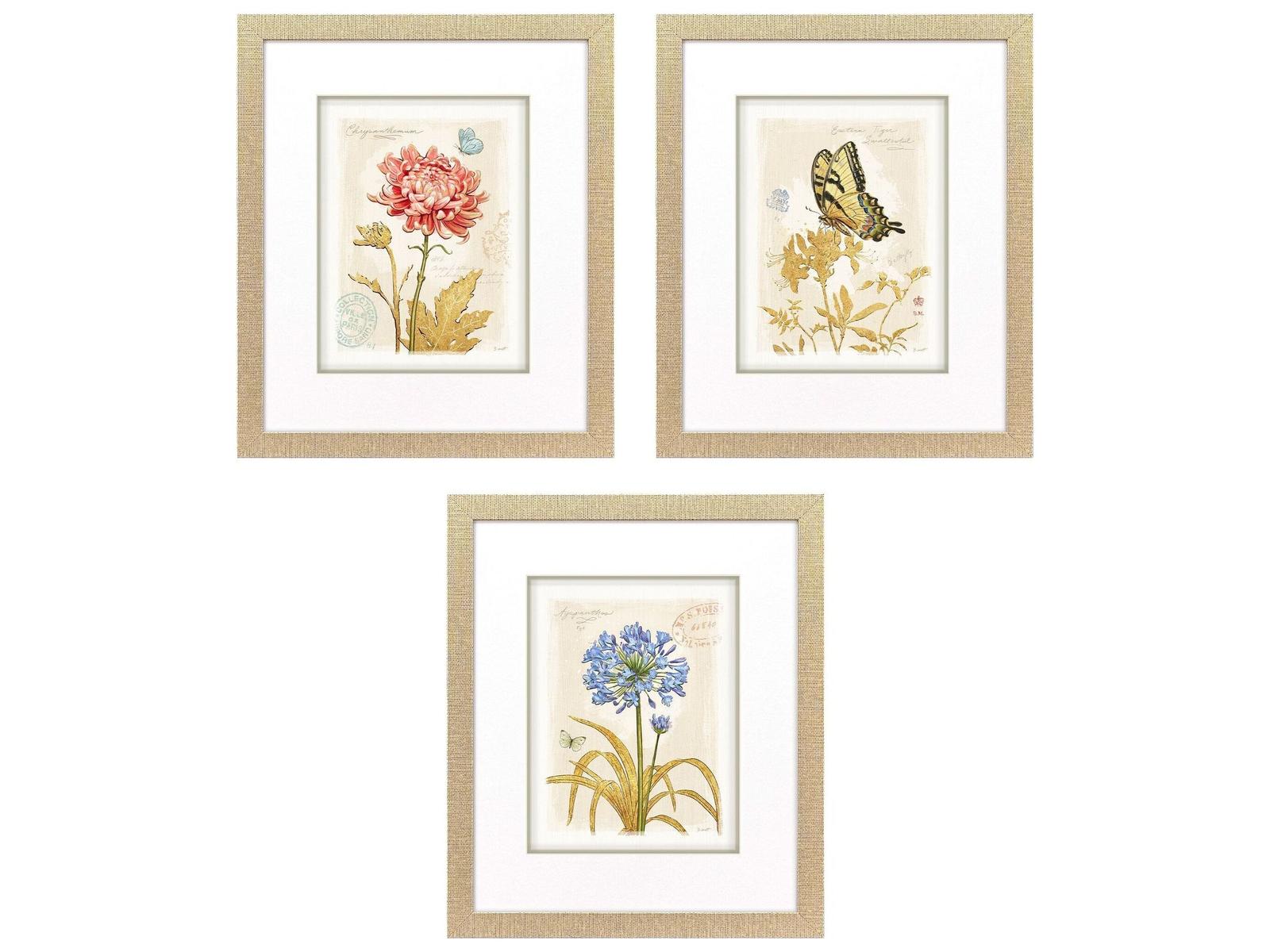 Paragon Nature's Wonder II Painting Set of 3