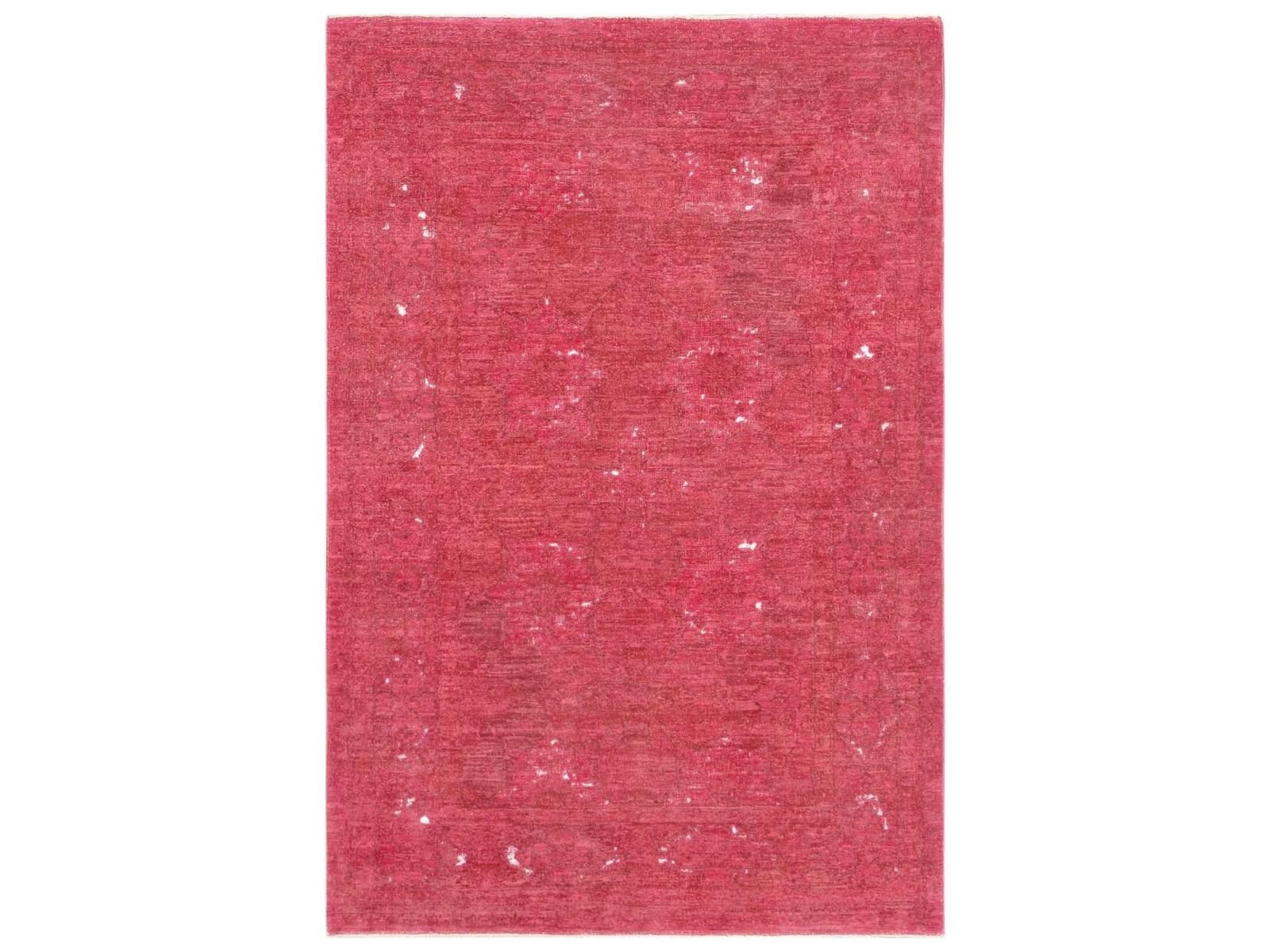 Pasargad Home Lahore Bordered Area Rug
