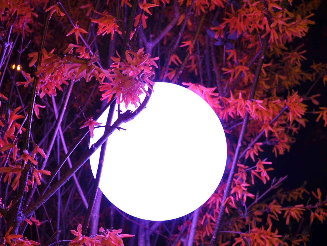 Smart & Green Original Pearl Bluetooth Outdoor LED Light