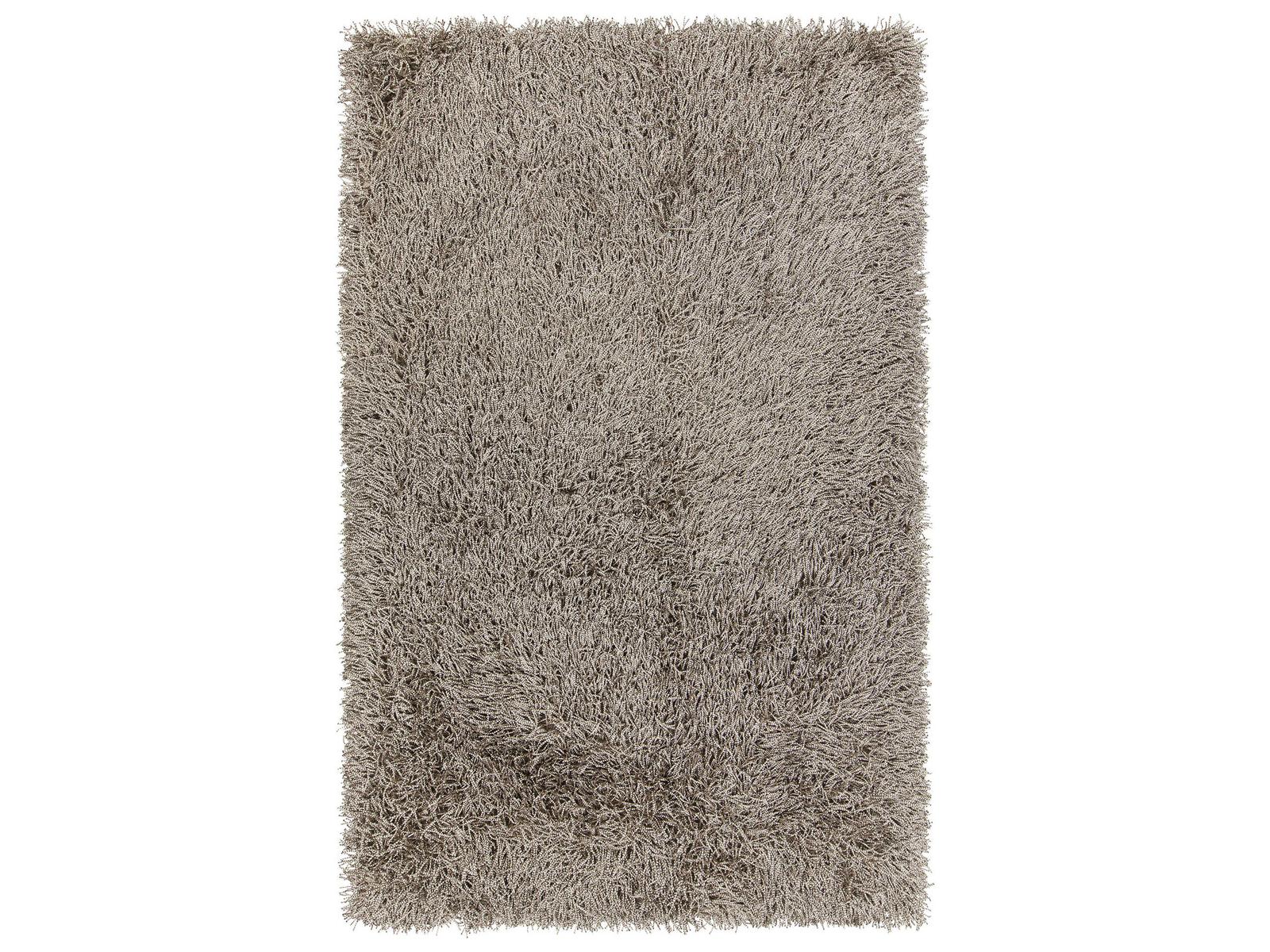 Chandra Tyra Shag Area Rug