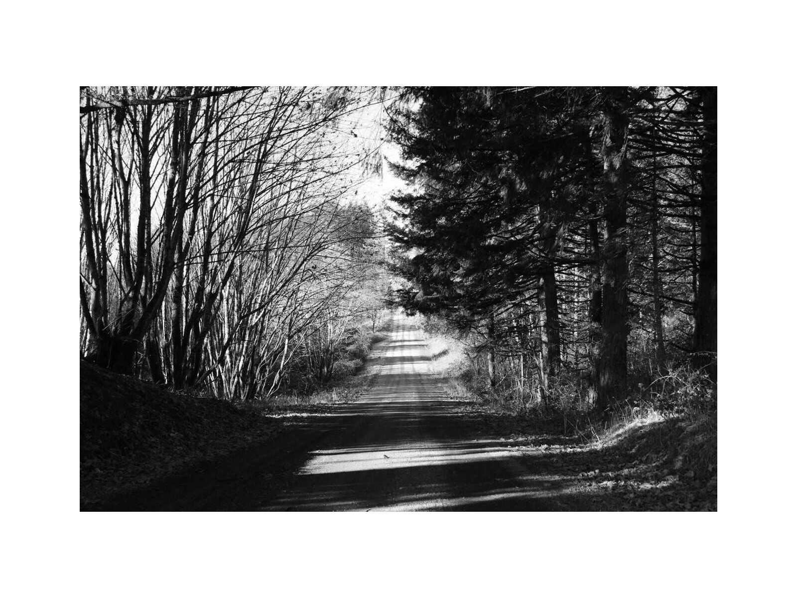 Daleno The Drive to Betsys House Wall Art