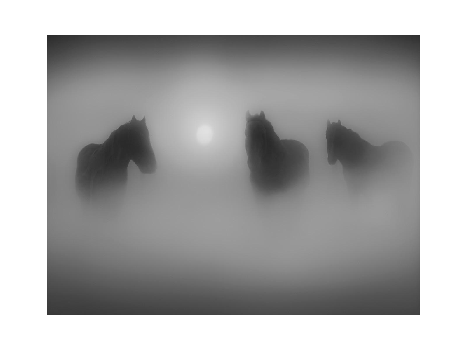 Daleno Barn Focused II Wall Art