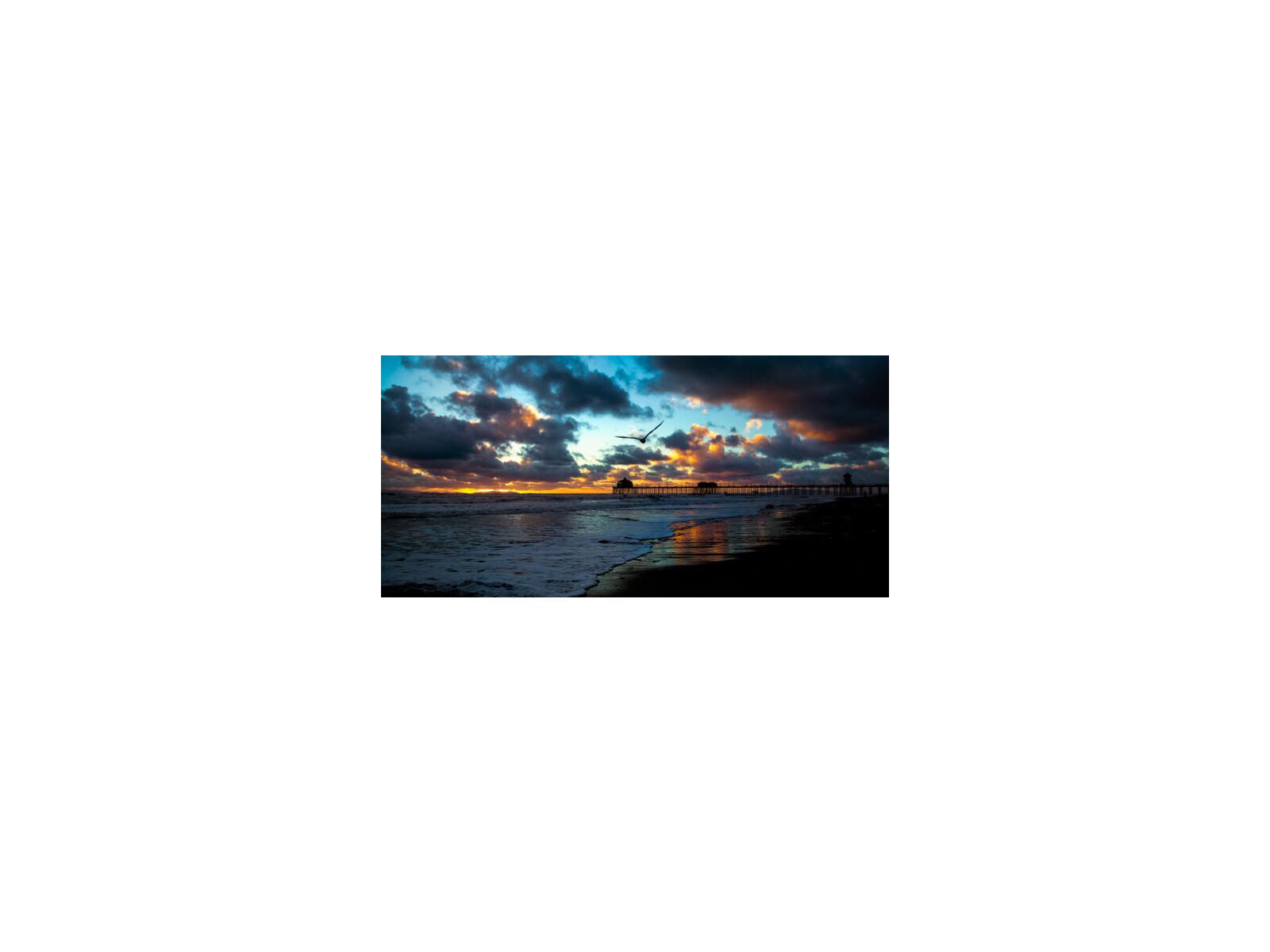 Daleno Soar Wall Art