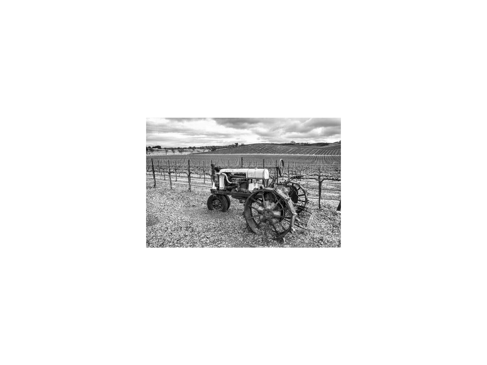 Daleno First Driving Lesson Wall Art