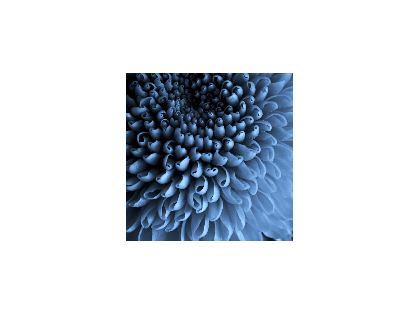 Daleno Plus or Minus Wall Art
