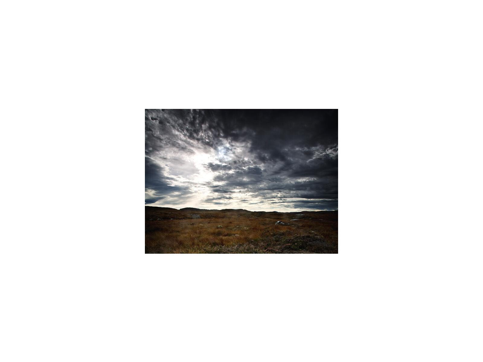 Daleno Breakthrough I Wall Art