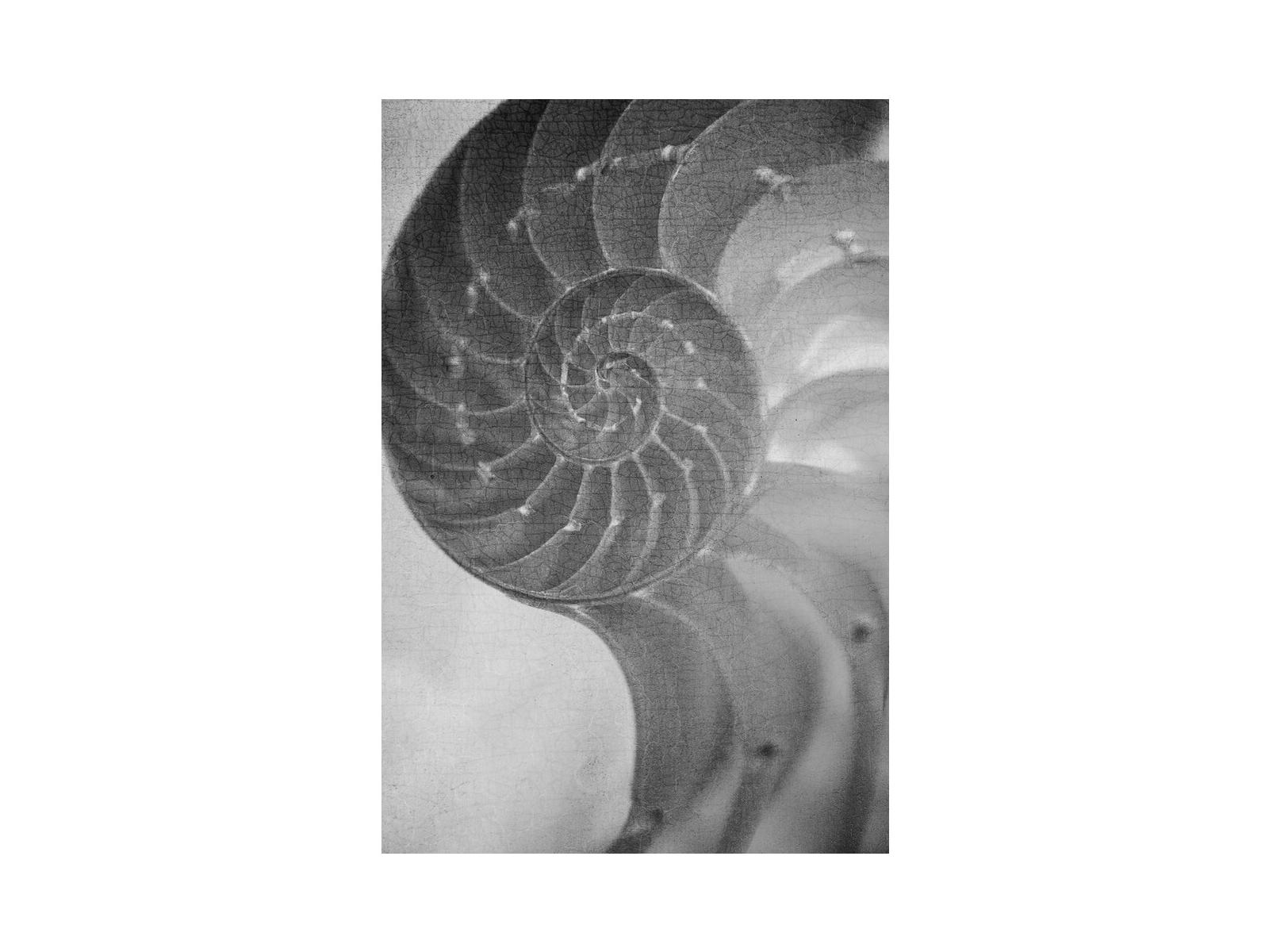 Daleno Ornate I Wall Art