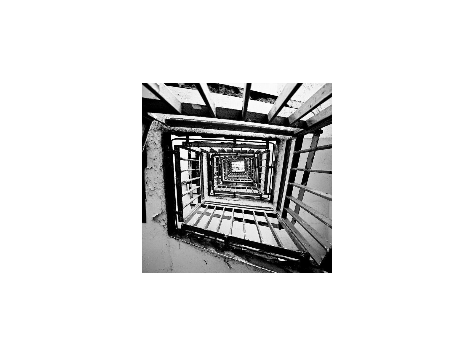 Daleno Head Spin Wall Art