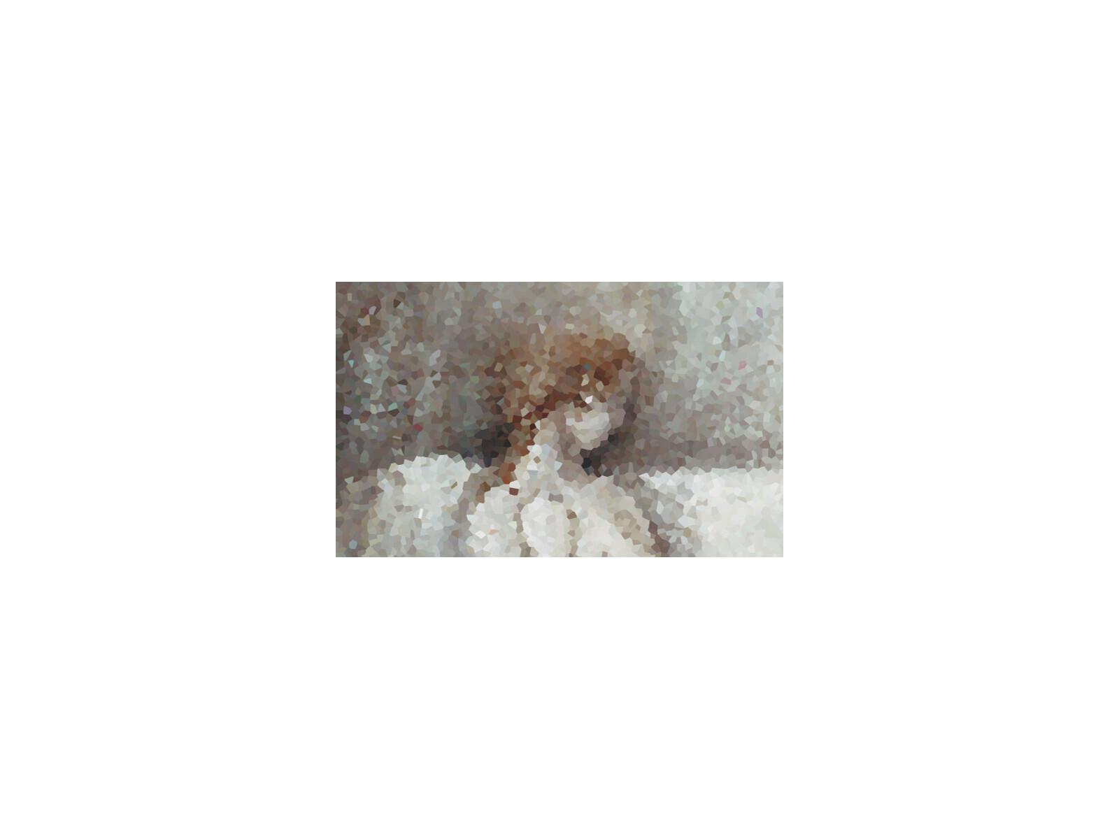Daleno A Frosted View Wall Art