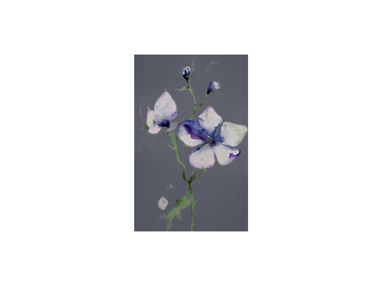 Daleno Nightly Bloom I Wall Art