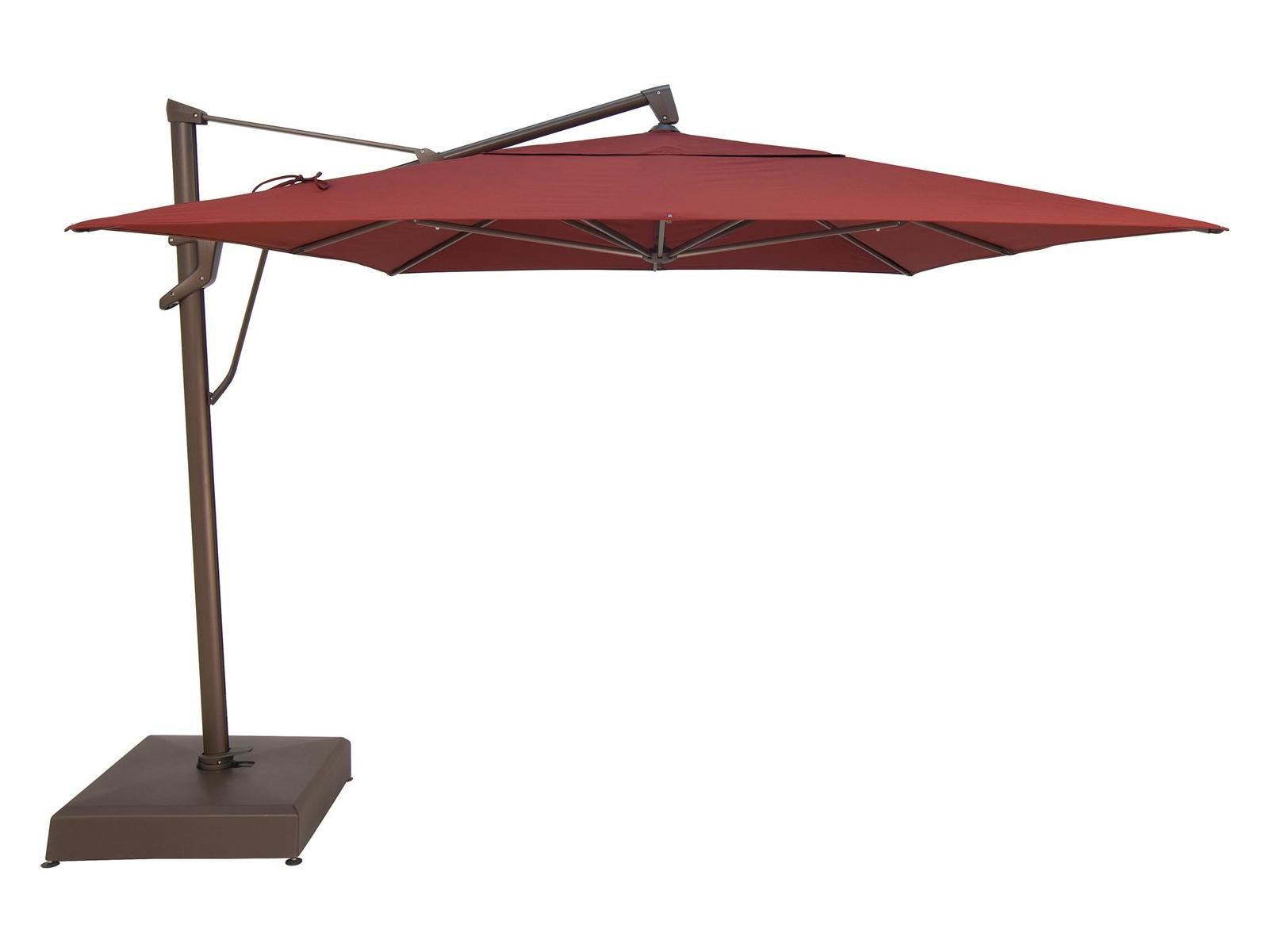 Treasure Garden Quick Ship AKZ PLUS 10 x 13 Foot Rectangular Infinite Tilt and Lock Cantilever