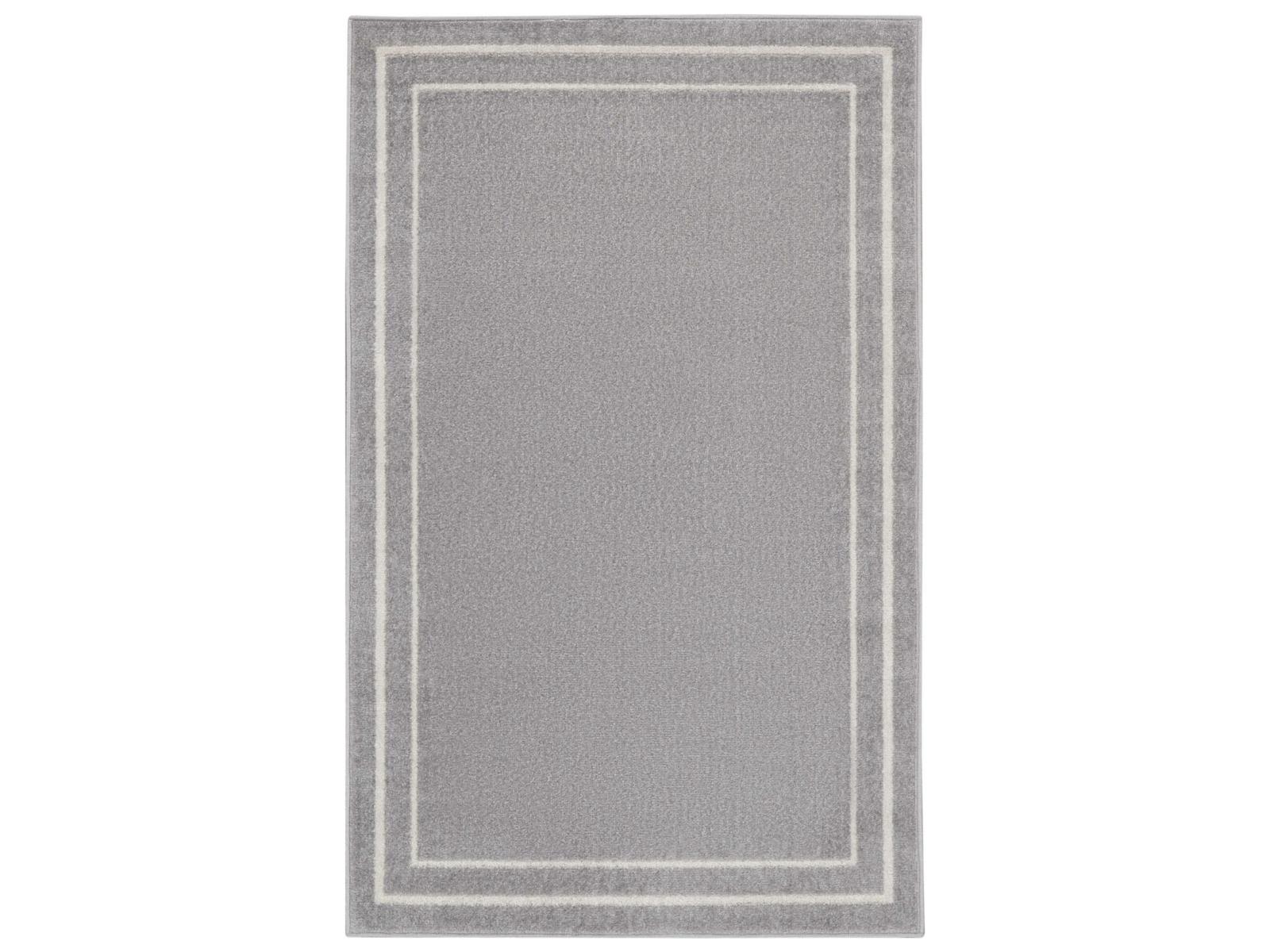 Nourison Essentials Bordered Area Rug