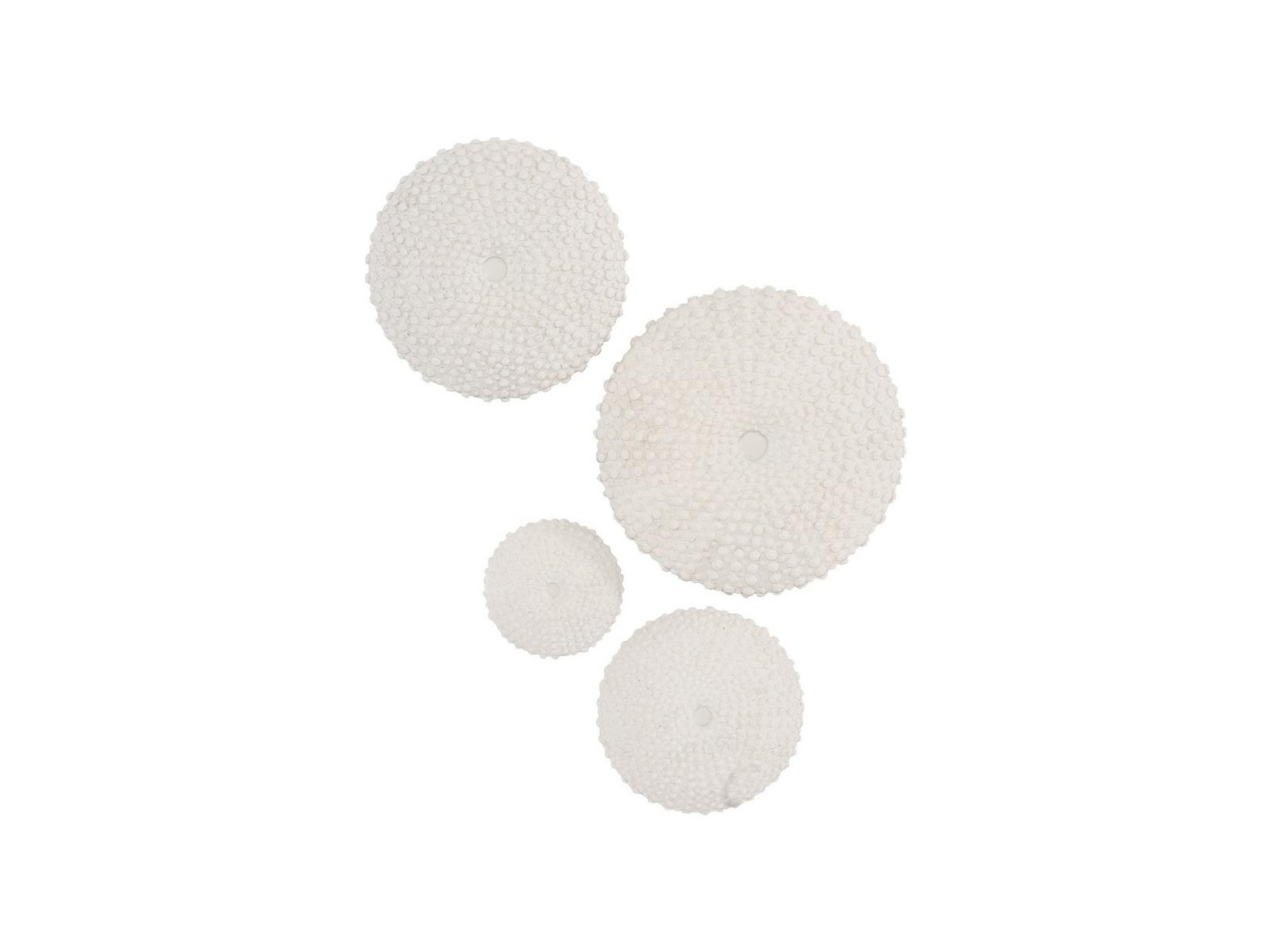 Phillips Collection Sea Urchin Wall Art in Set Of 4