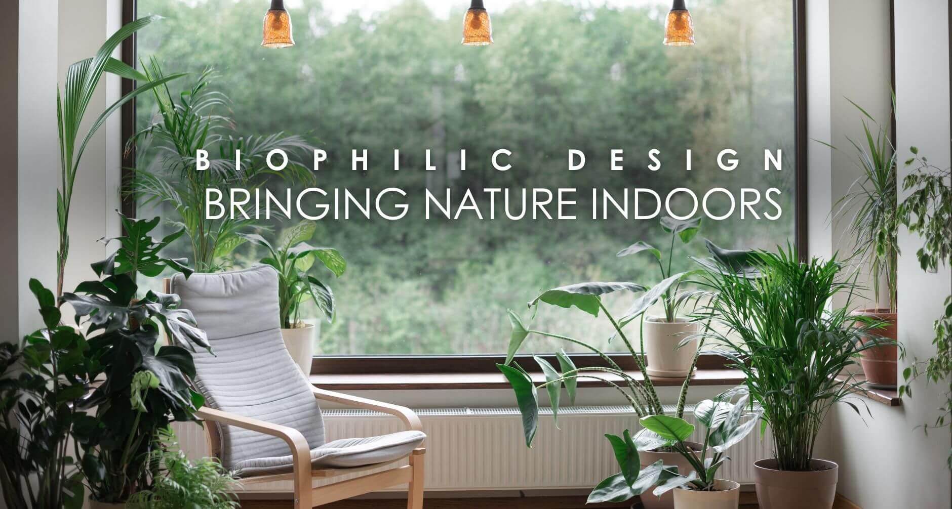 Biophilic Design: Bringing Nature Indoors