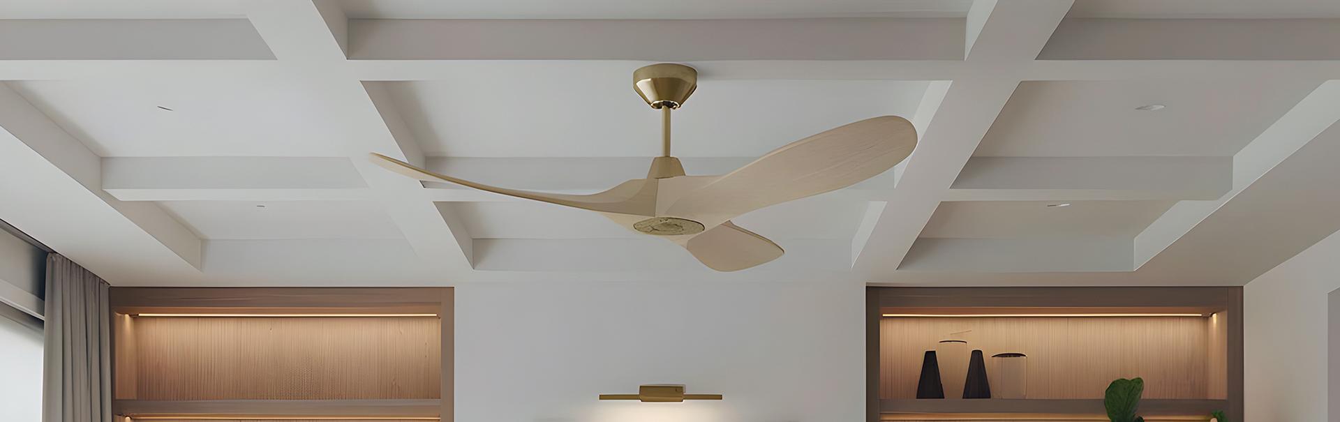 Visual Comfort Fan