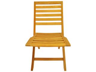 Anderson Teak Andrew Folding Chair Set of 2