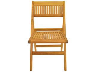 Anderson Teak Windsor Folding Chair Set of 2