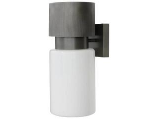 Arteriors Home 1-Light Outdoor Wall Light