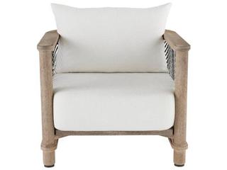 Arteriors Outdoor Emoto Pearl Aged Bronze Teak Cushion Lounge Chair