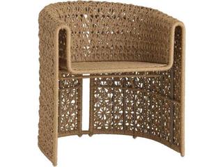 Arteriors Outdoor Iggy Tan Wicker Dining Chair