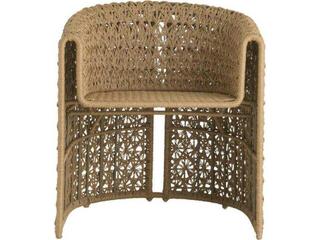 Arteriors Outdoor Iggy Tan Wicker Dining Chair
