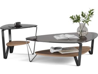 BDI Dino Glass Natural Walnut Carbon Grey End Table