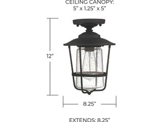 Capital Lighting Creekside Black Outdoor Ceiling Light