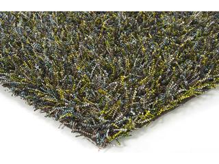 Chandra Astrid Shag Area Rug