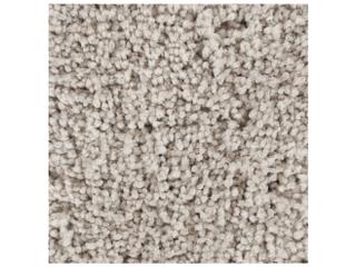 Chandra Bella Shag Area Rug
