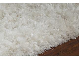 Chandra Diano Shag Area Rug