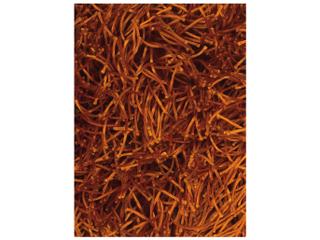 Chandra Duke Shag Area Rug