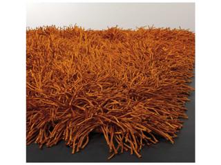 Chandra Duke Shag Area Rug