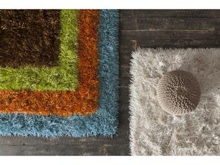Chandra Duke Shag Area Rug