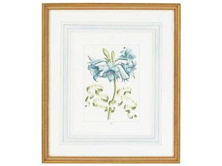 Chelsea House Bl Floral with Ribbon-C