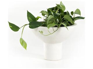 Luxecor Globetrotter Outdoor Plaster Molded Concrete Planter Set of 2