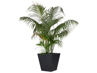 Luxecor Globetrotter Outdoor Koto Black Concrete Planter