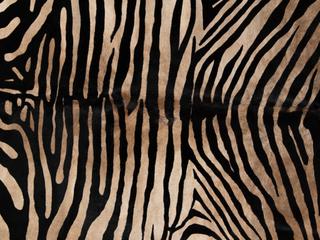 Four Hands Mateo Animal Print Area Rug