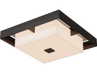 Hubbardton Forge Shadow Box 2-Light Outdoor Ceiling Light