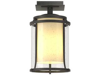 Hubbardton Forge Meridian 1 - Light Incandescent Outdoor Ceiling Light